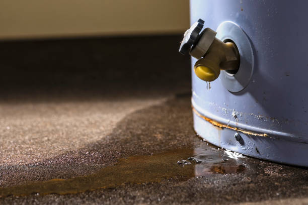 Best Water damage contractors near me  in , WV