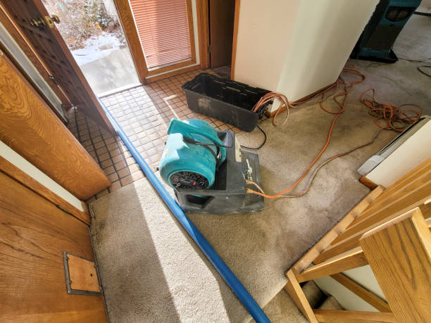 Best Water damage mitigation services  in , WV