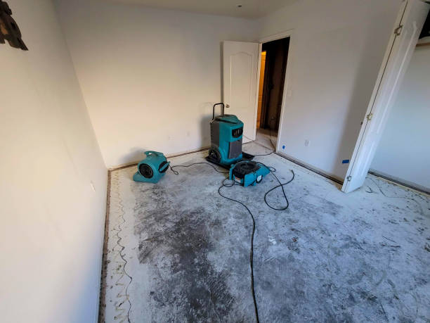 Best Flood damage cleanup  in , WV