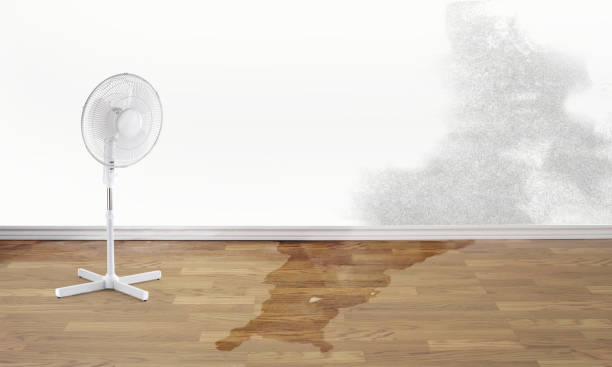 Best Ceiling water damage repair  in , WV