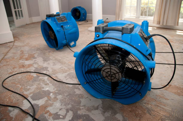 Best Mold removal after water damage  in , WV