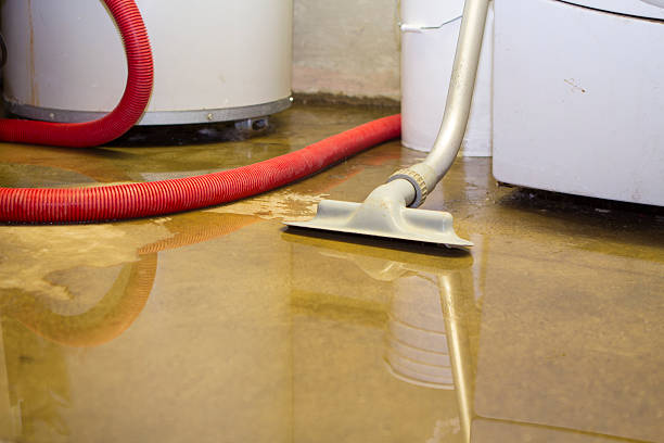 Best Water damage restoration experts  in , WV