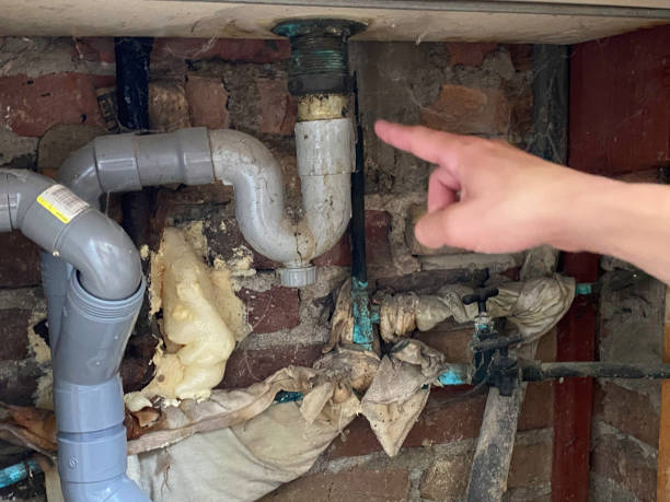 Best 24/7 water damage repair  in , WV