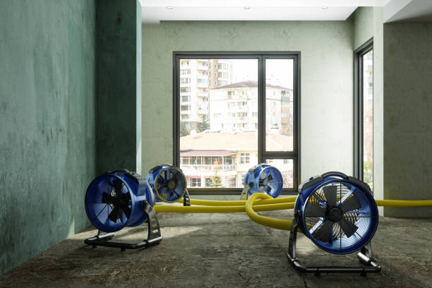 Best Fire Damage Restoration  in , WV