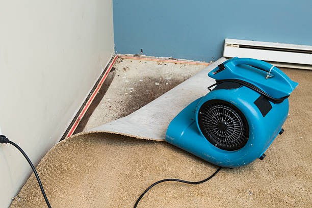 Best Commercial water damage restoration  in , WV